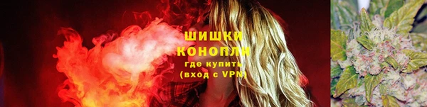 мдпв Вязьма