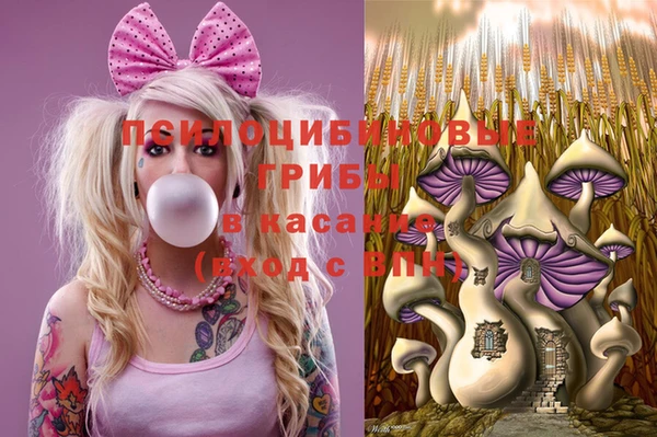 мдпв Вязьма