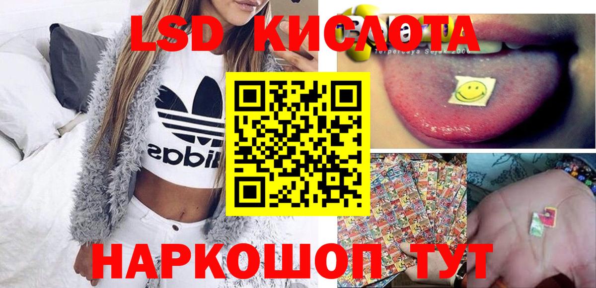 Губкин  Марки N-bome 1500мкг  Вход с VPN 