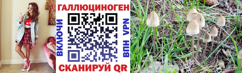 Псилоцибиновые грибы прущие грибы  продажа наркотиков  Губкин 