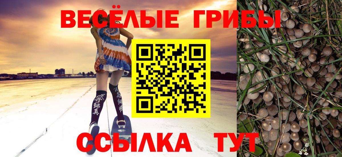Губкин  Псилоцибиновые грибы мухоморы  Вход с VPN 