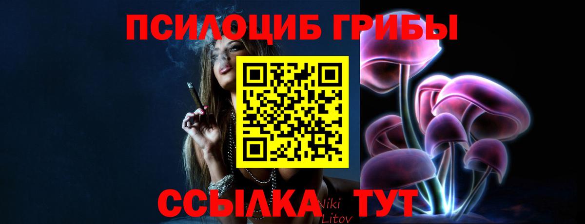 Галлюциногенные грибы мицелий  Псилоцибиновые грибы мухоморы  Губкин 