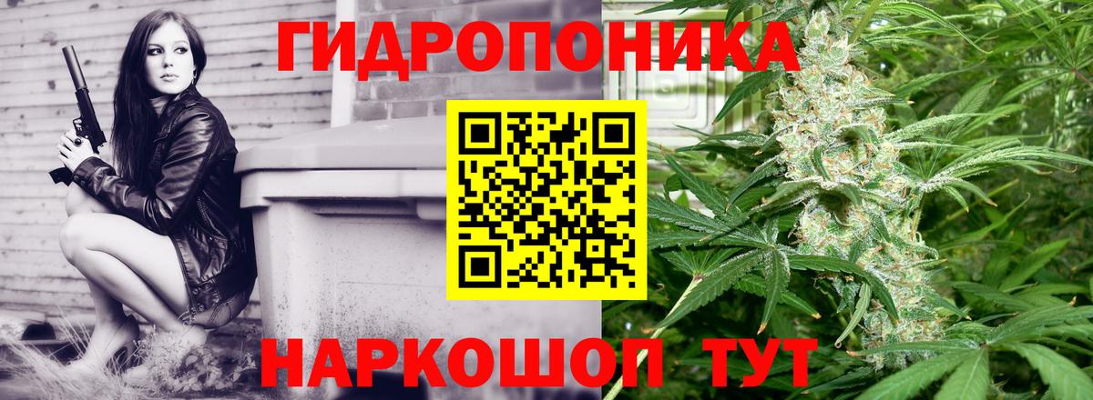 ГАШИШ Губкин